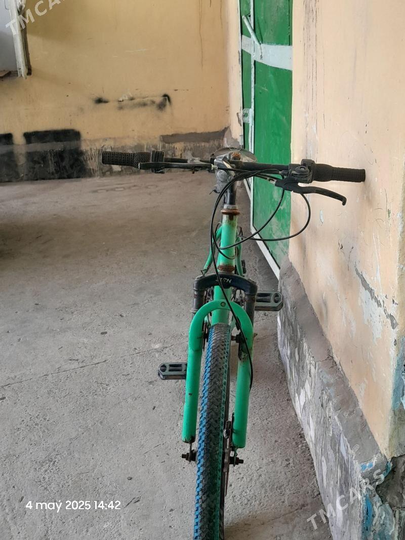 tigir - Çoganly - img 5