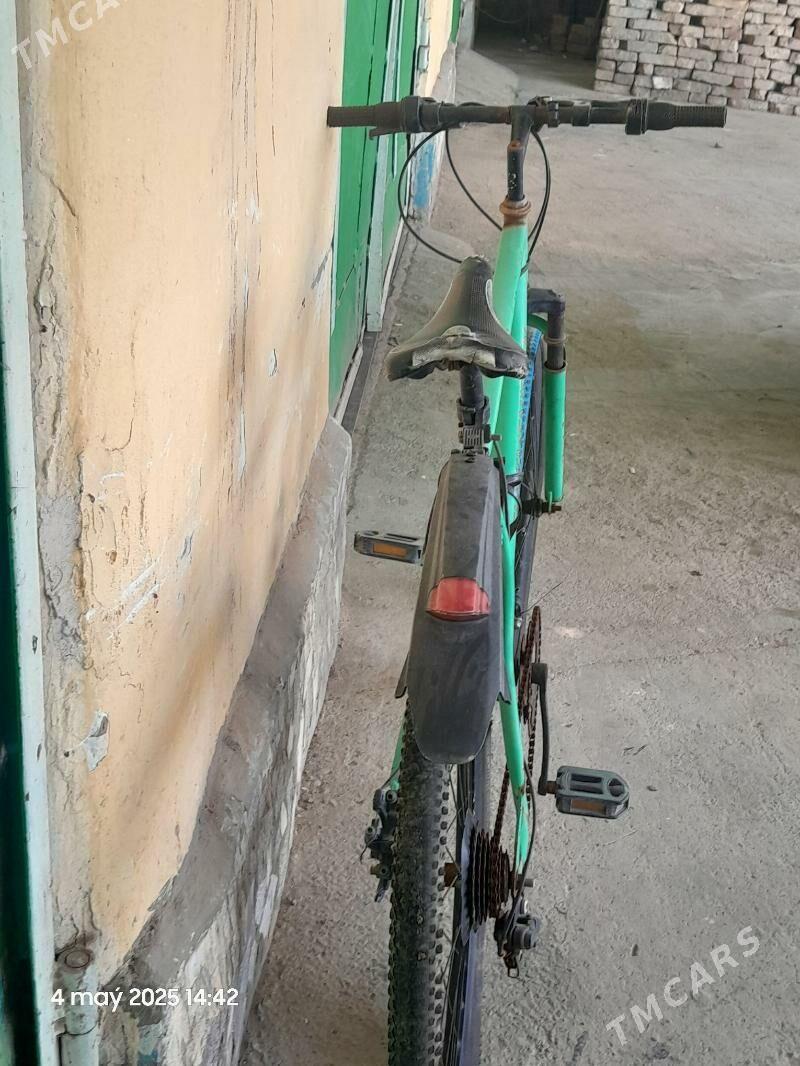 tigir - Çoganly - img 3