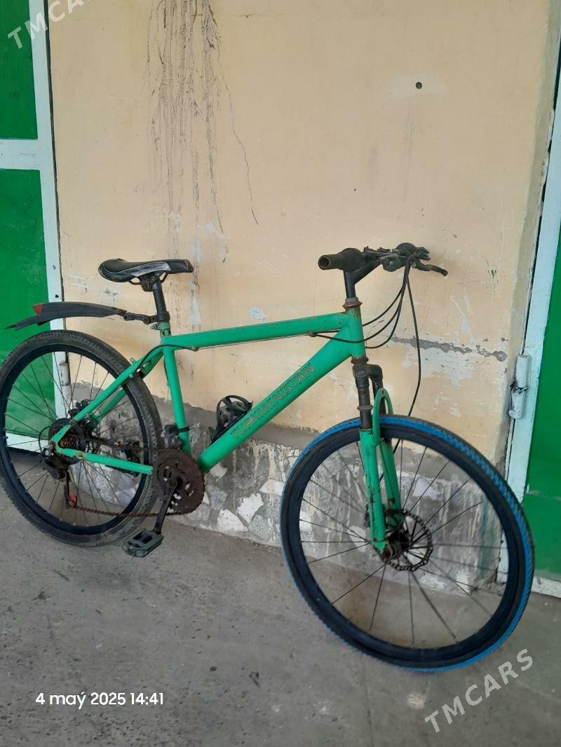 tigir - Çoganly - img 4