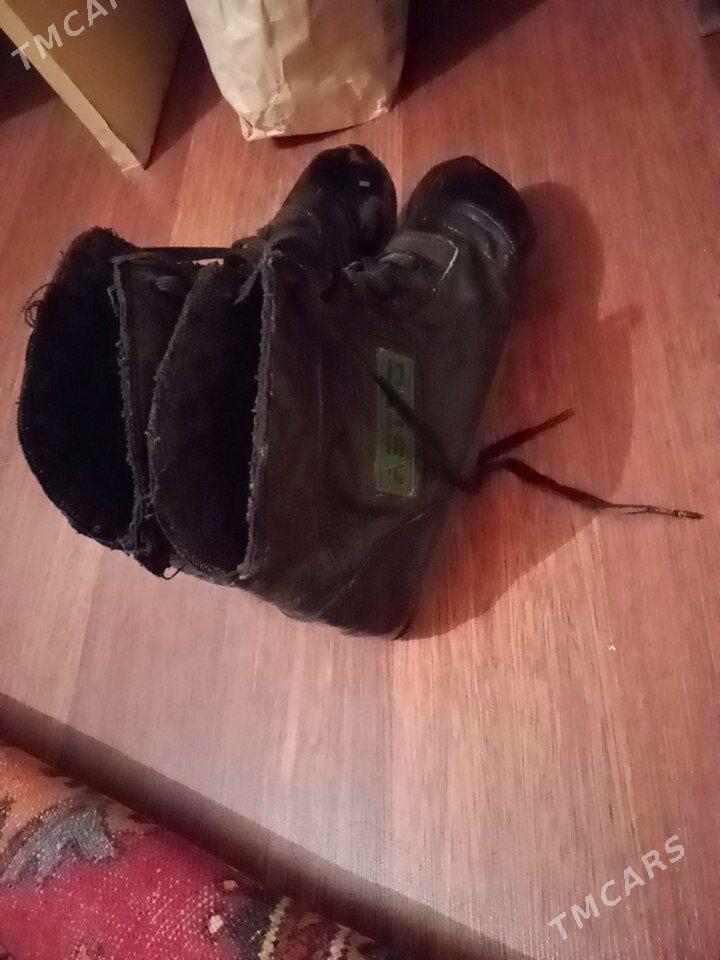 Sambovka, Barsofka - Baýramaly - img 3