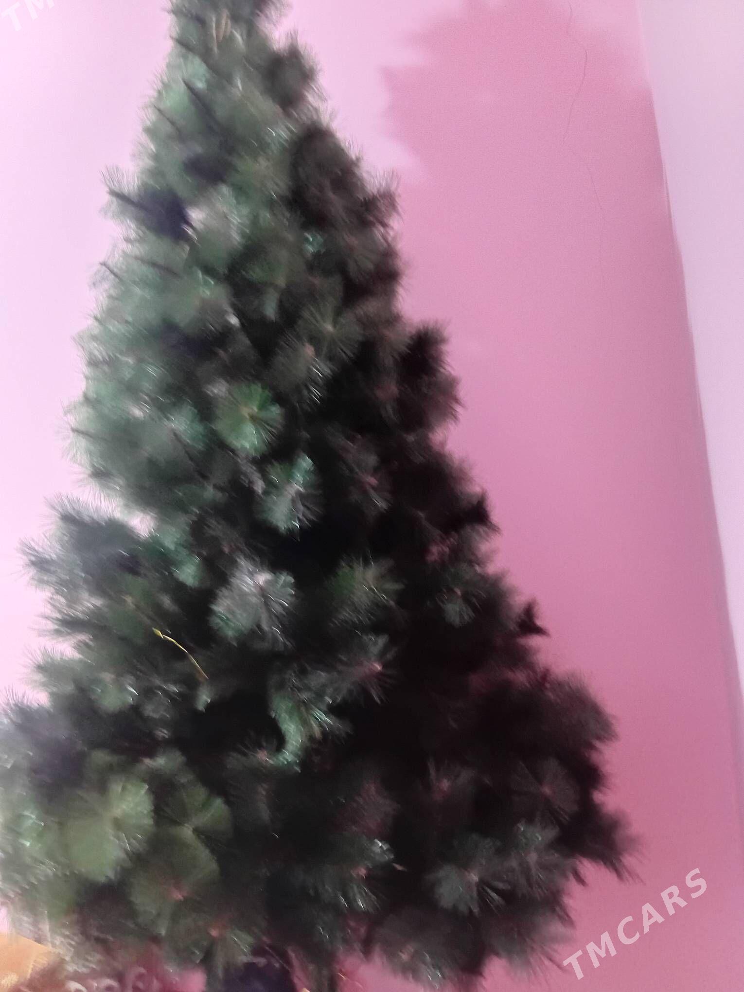 yolka - Шабатский этрап - img 2