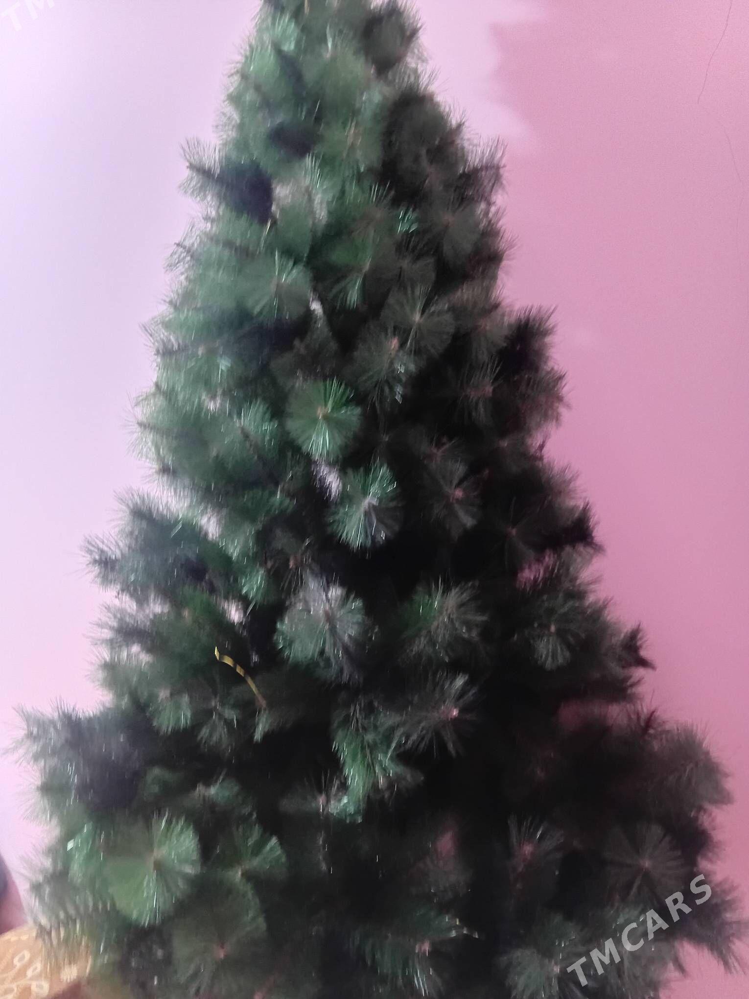 yolka - Шабатский этрап - img 1