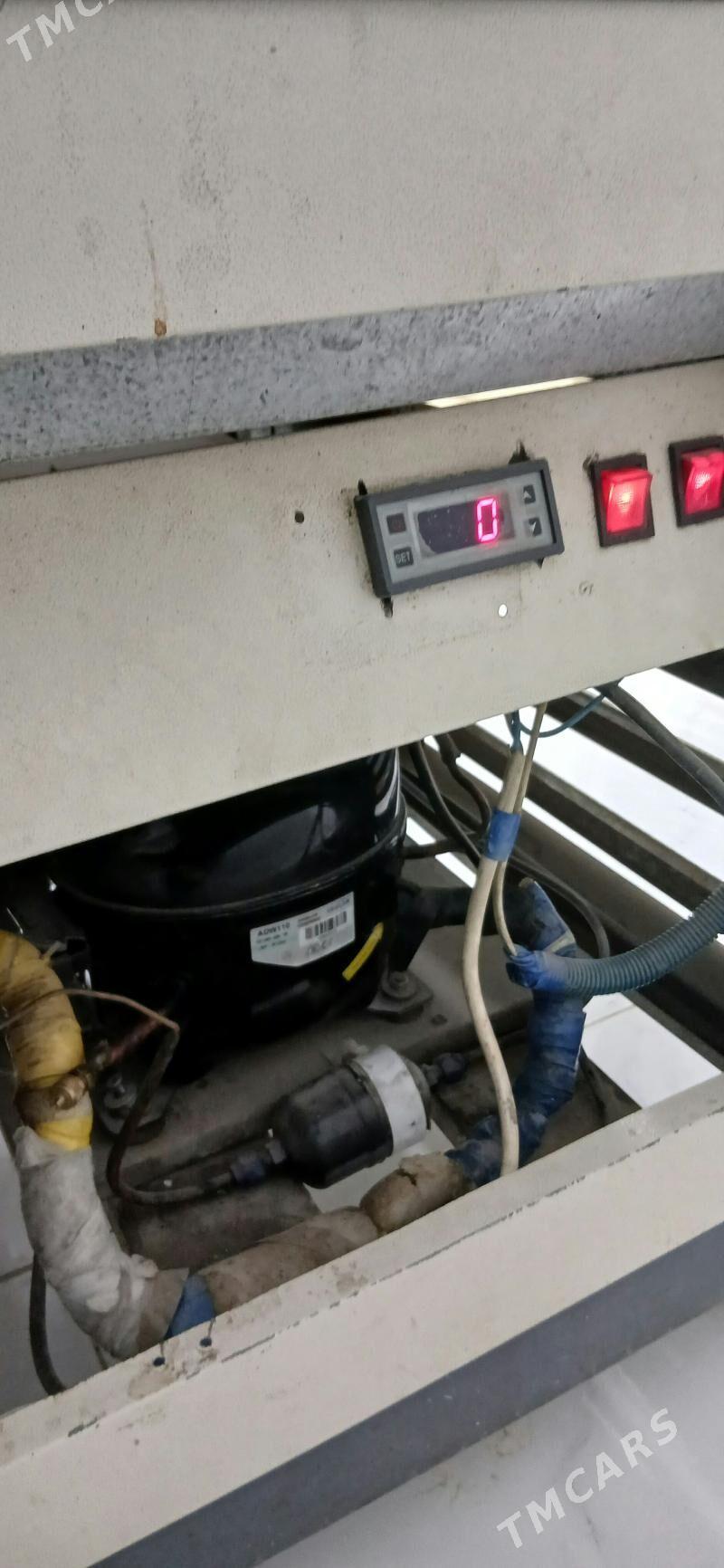 wettina holodelnik - Ашхабад - img 5