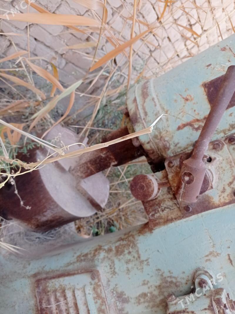 tokur malatok - Baýramaly - img 2