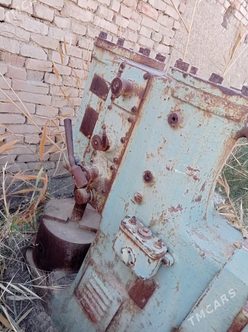 tokur malatok - Baýramaly - img 3