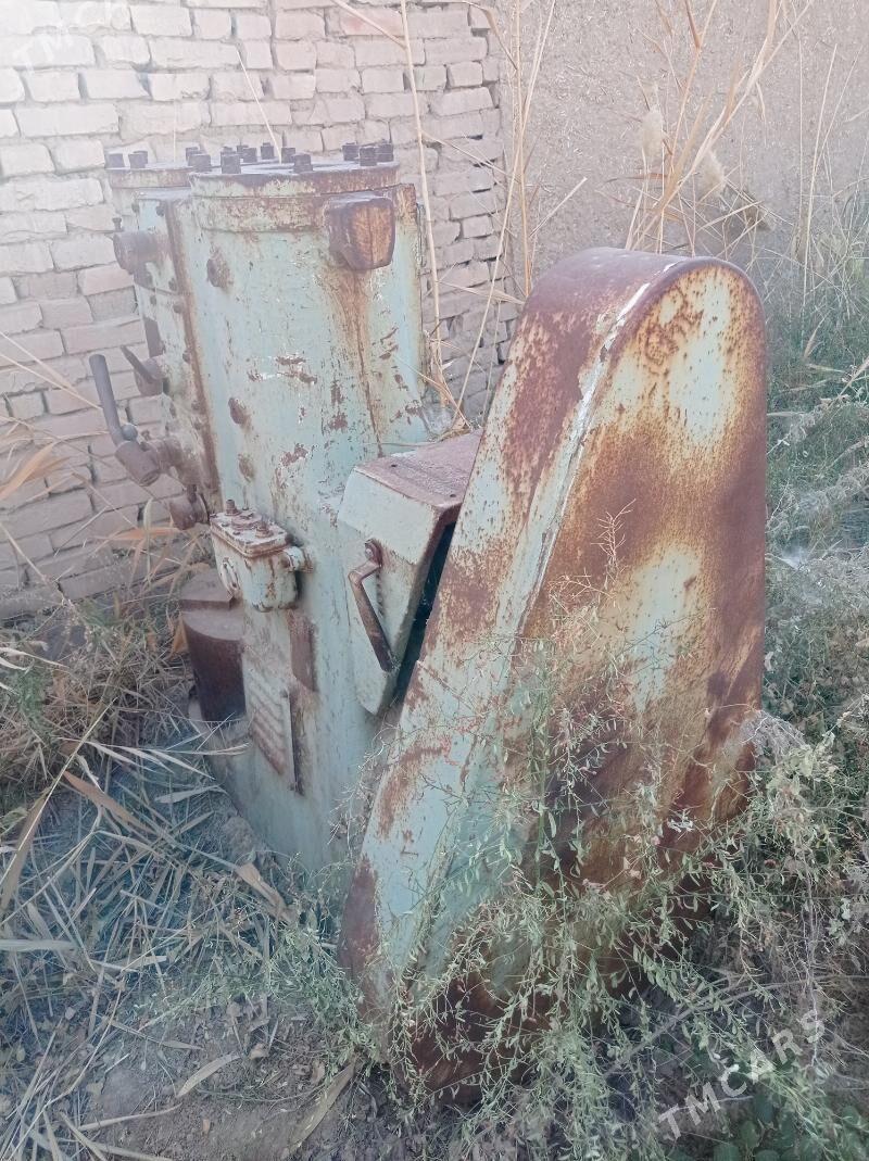 tokur malatok - Baýramaly - img 1