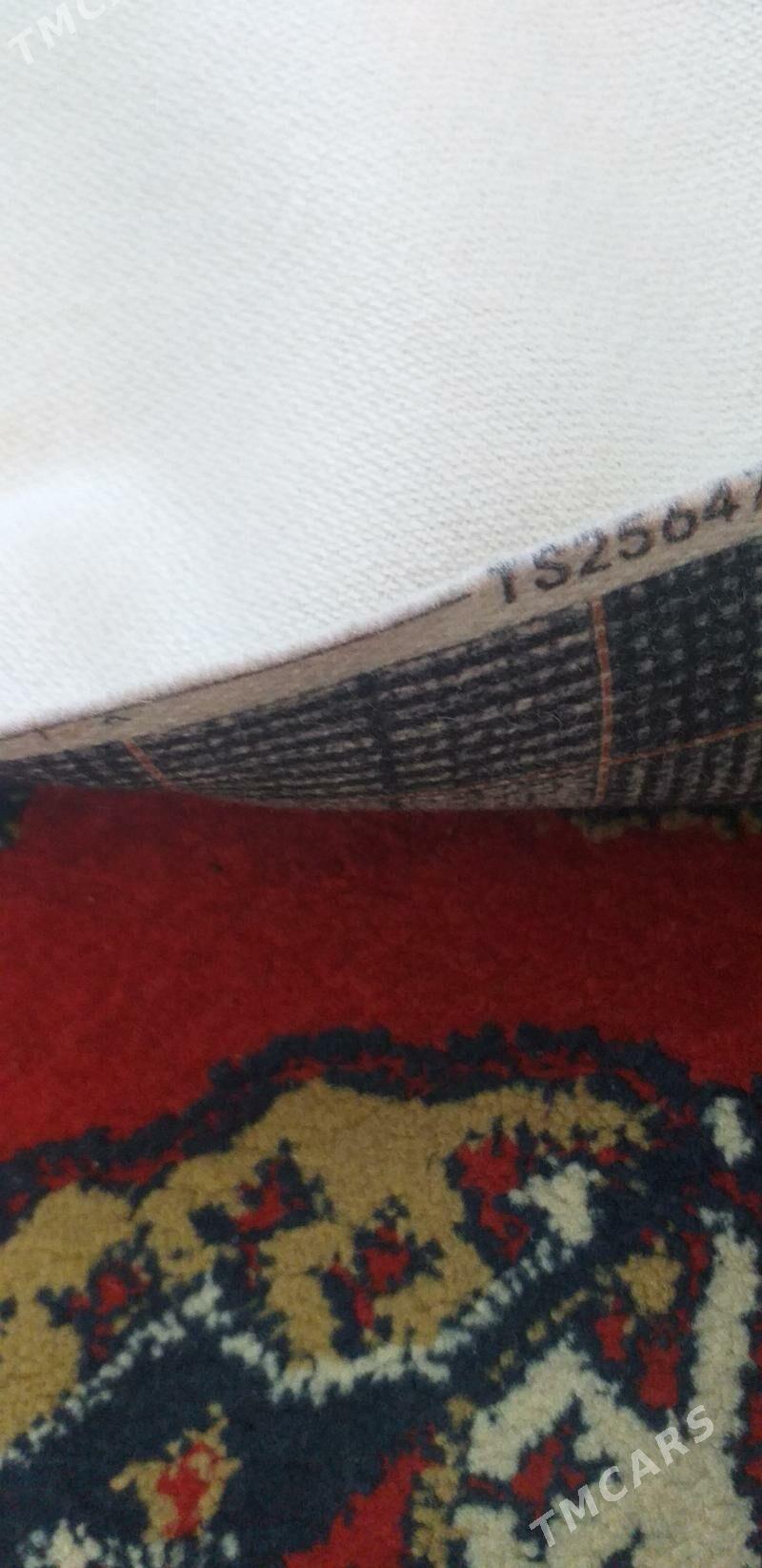 paltolyk mata - Ашхабад - img 2