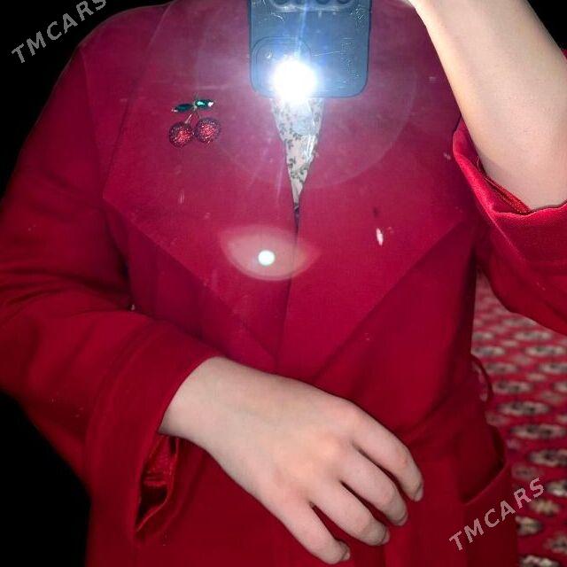 Plaş - Дашогуз - img 1