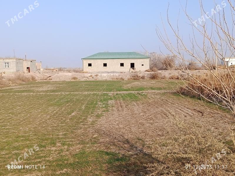 satlyk jay - Шабатский этрап - img 1