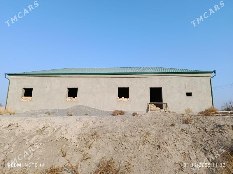 satlyk jay - Шабатский этрап - img 6