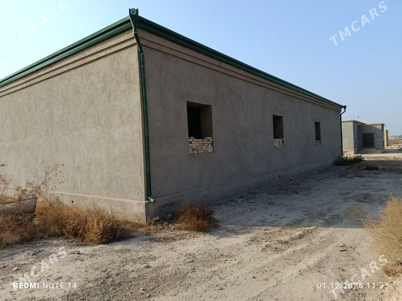 satlyk jay - Шабатский этрап - img 5