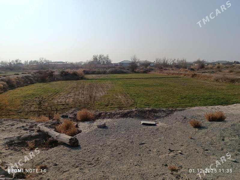 satlyk jay - Шабатский этрап - img 2