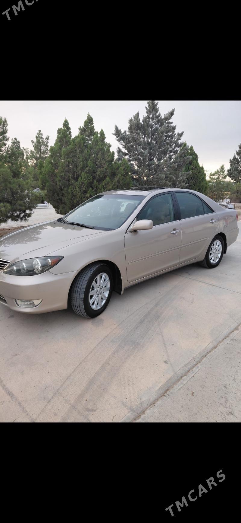 Toyota Camry 2005 - 245 000 TMT - Бахарден - img 8