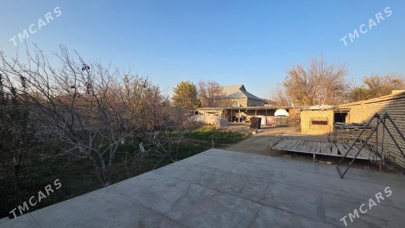 Dmitr Taze Ay arkasy Plan jay - Мары - img 9