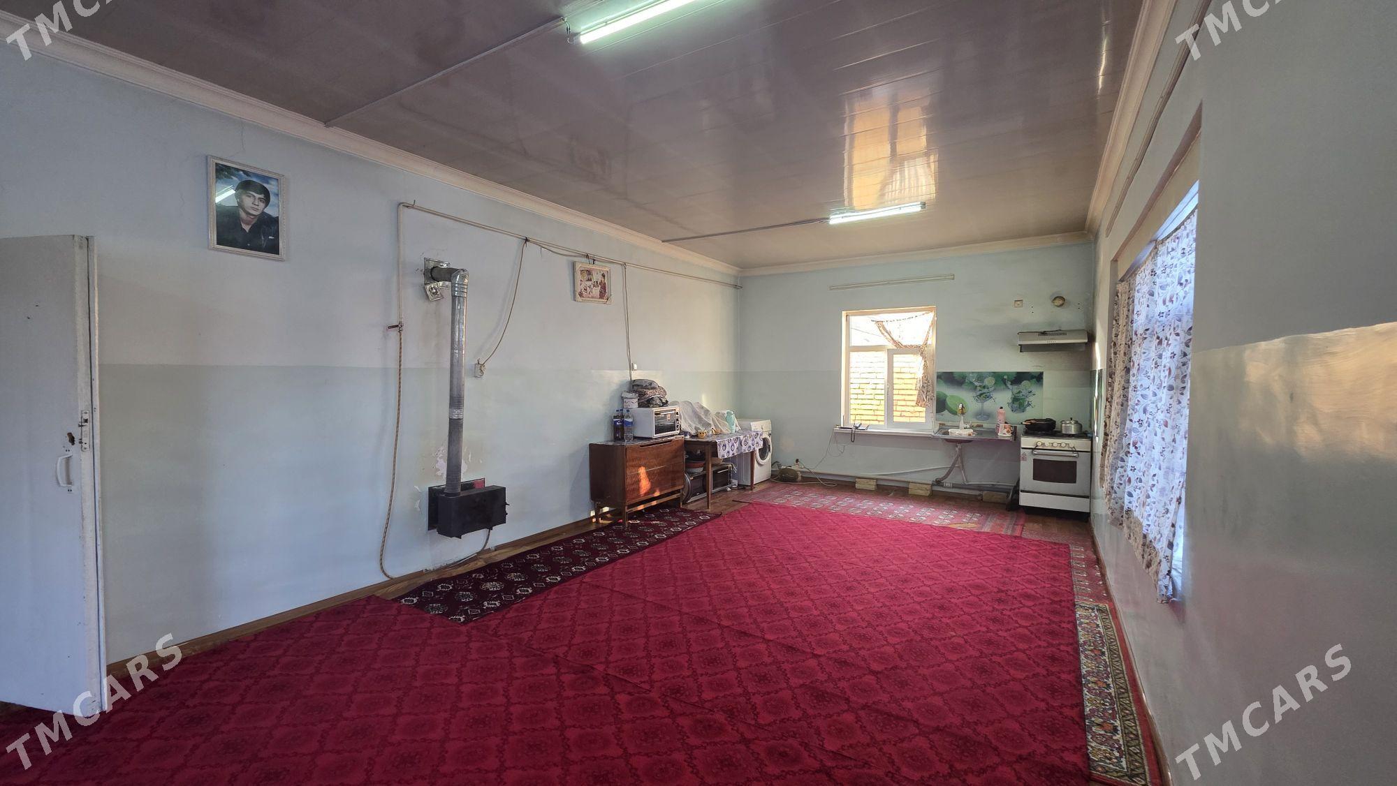 Dmitr Taze Ay arkasy Plan jay - Мары - img 2