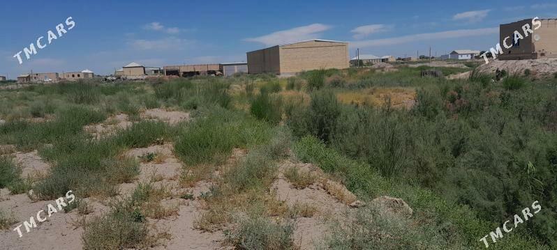 mellek ýer - Гарабекевюл - img 1