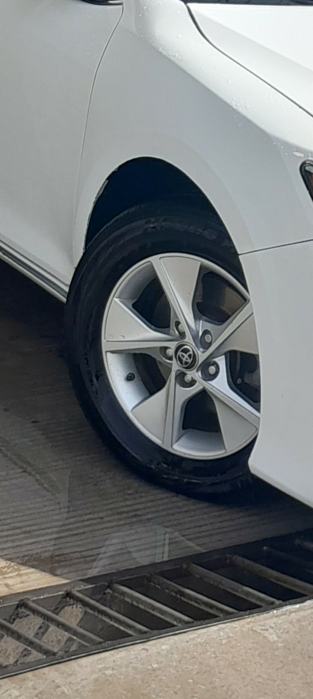 disga palta cemry 16lyk 1 000 TMT - Серахс - img 3