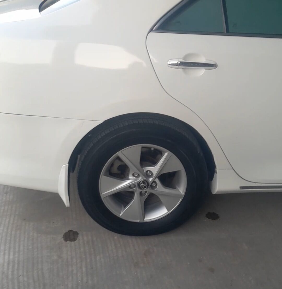 disga palta cemry 16lyk 1 000 TMT - Серахс - img 2