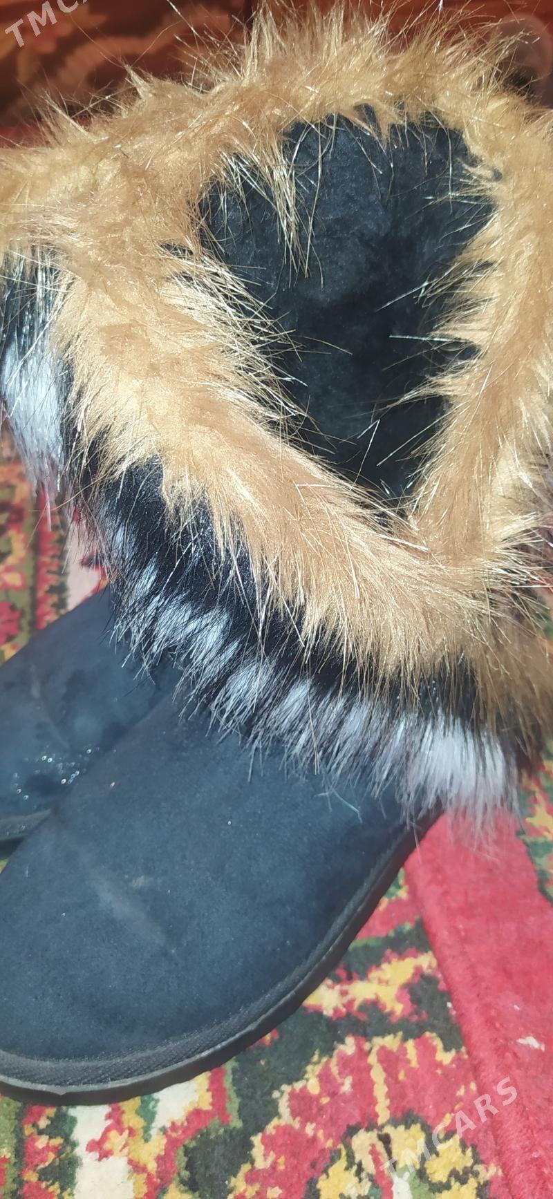 adik - Daşoguz - img 2