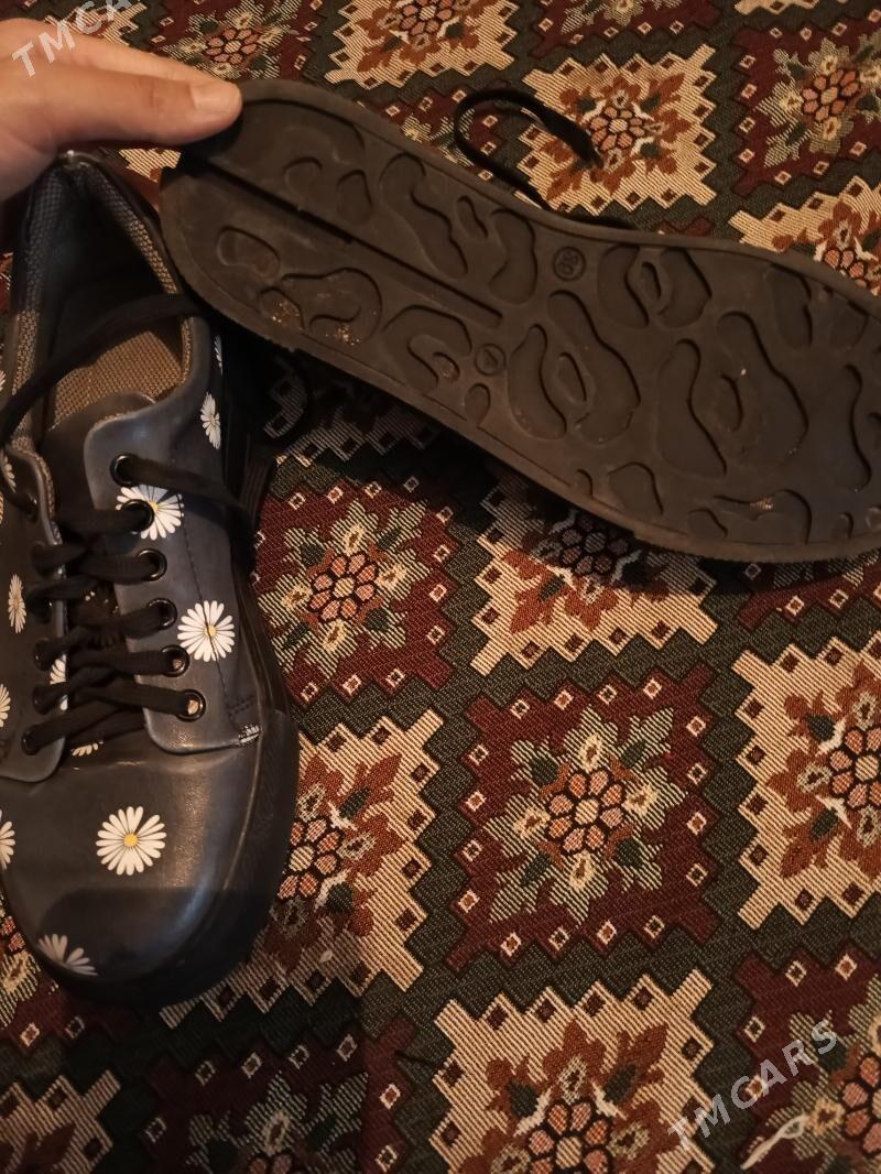 Krasowka ramashka - Türkmenbaşy - img 2