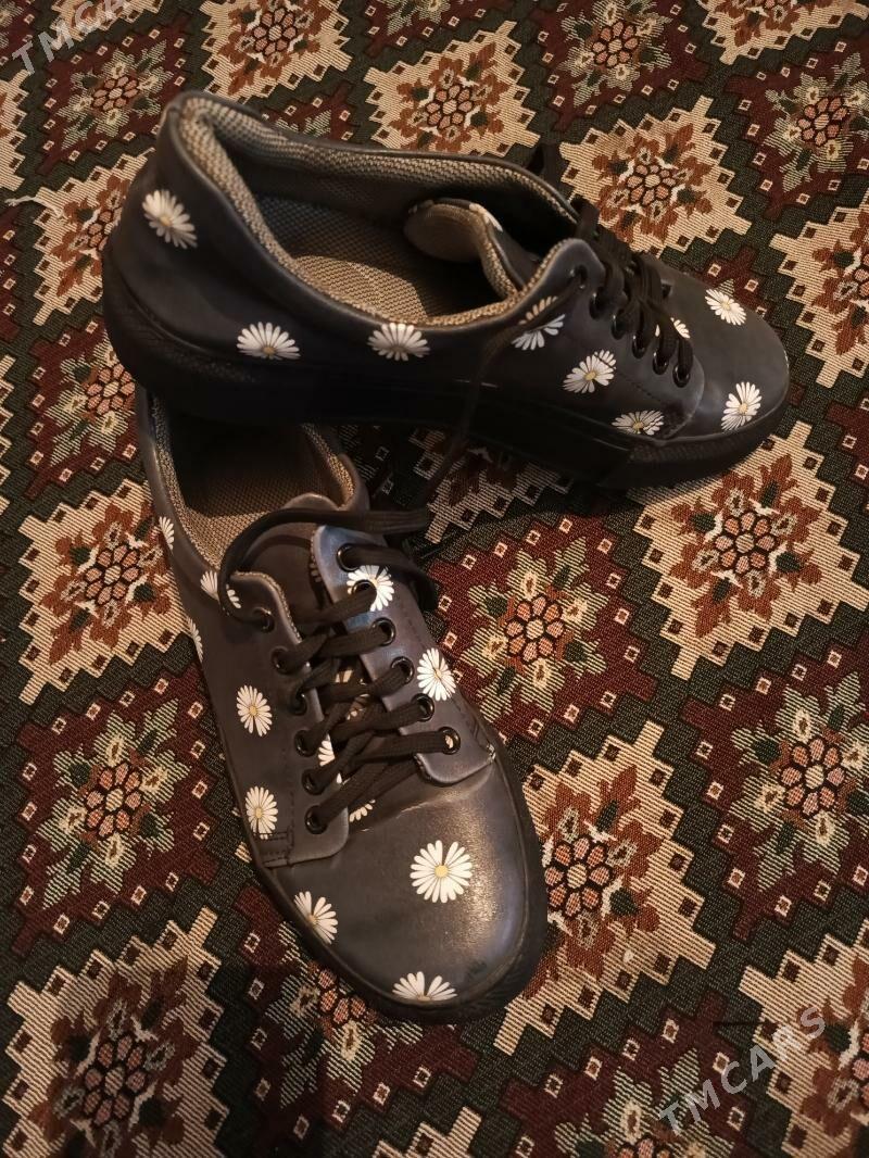 Krasowka ramashka - Türkmenbaşy - img 1