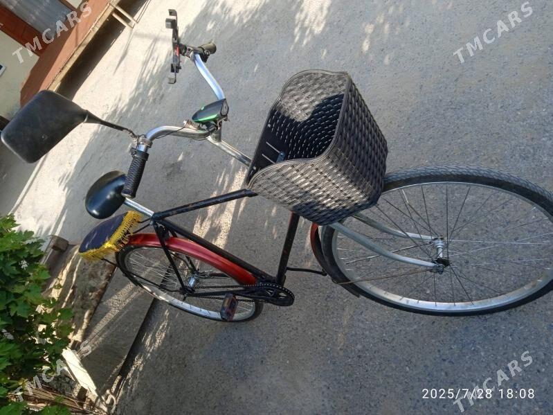 tigir - Gypjak - img 2