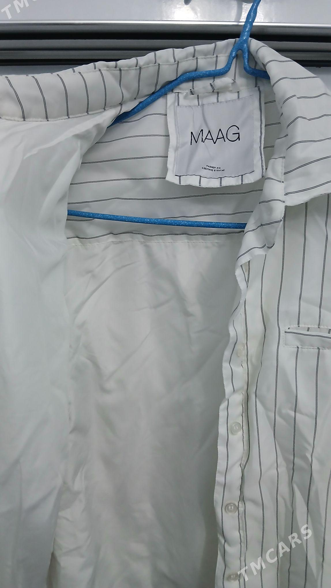 кур ккуртка на осень весну - Şabat etr. - img 2