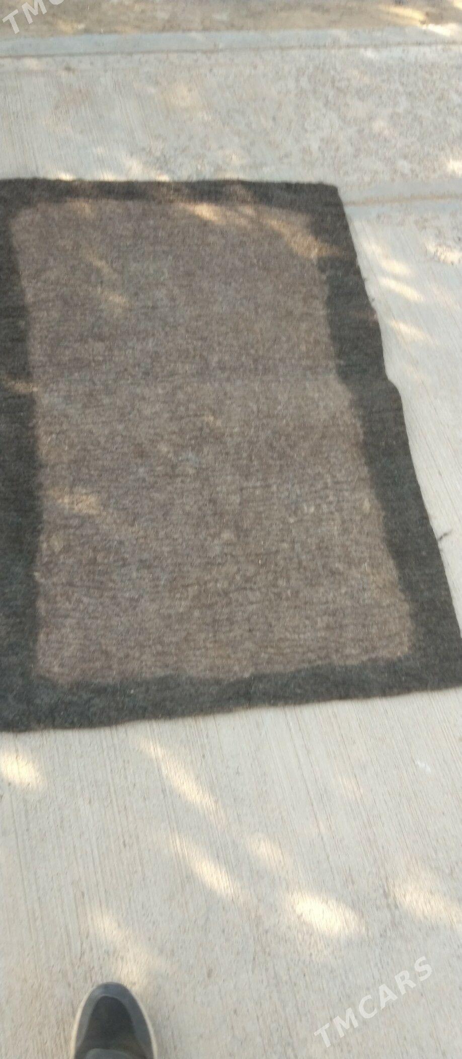 Keçe görnuş kân - Ak bugdaý etraby - img 3