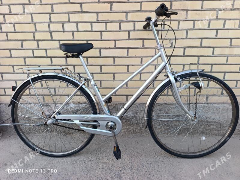 Yapon velik 27 - Mary - img 5