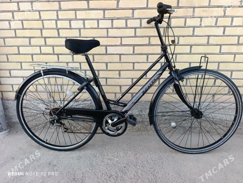 Yapon velik 27 - Mary - img 4