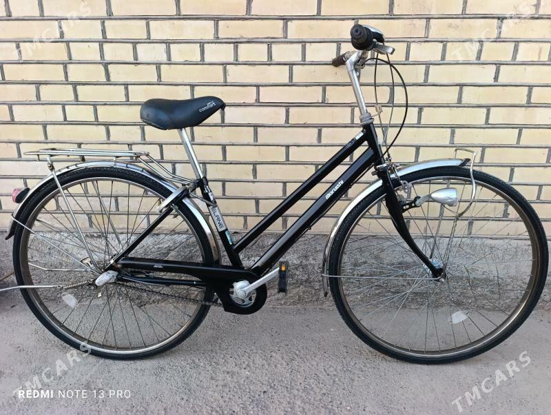 Yapon velik 27 - Mary - img 2