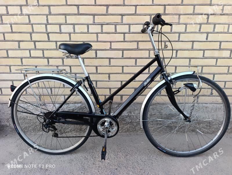 Yapon velik 27 - Mary - img 3