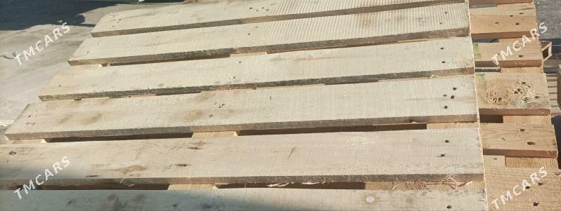 paddon agac - Balkanabat - img 3