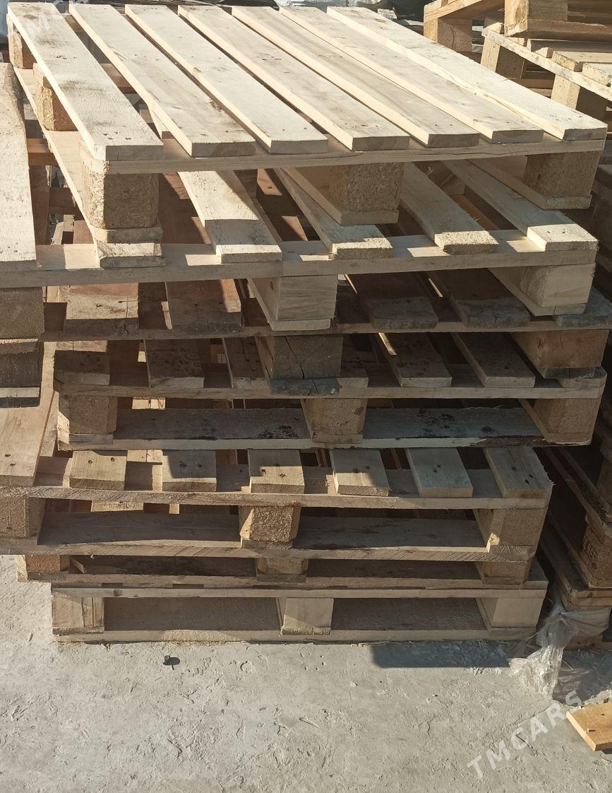 paddon agac - Balkanabat - img 2