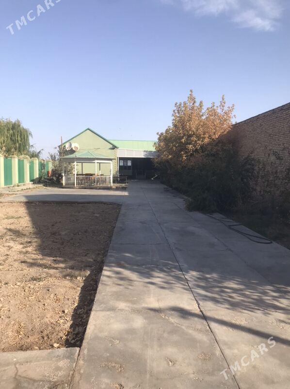 дАчА АЙРОПОРТ - Туркменабат - img 2