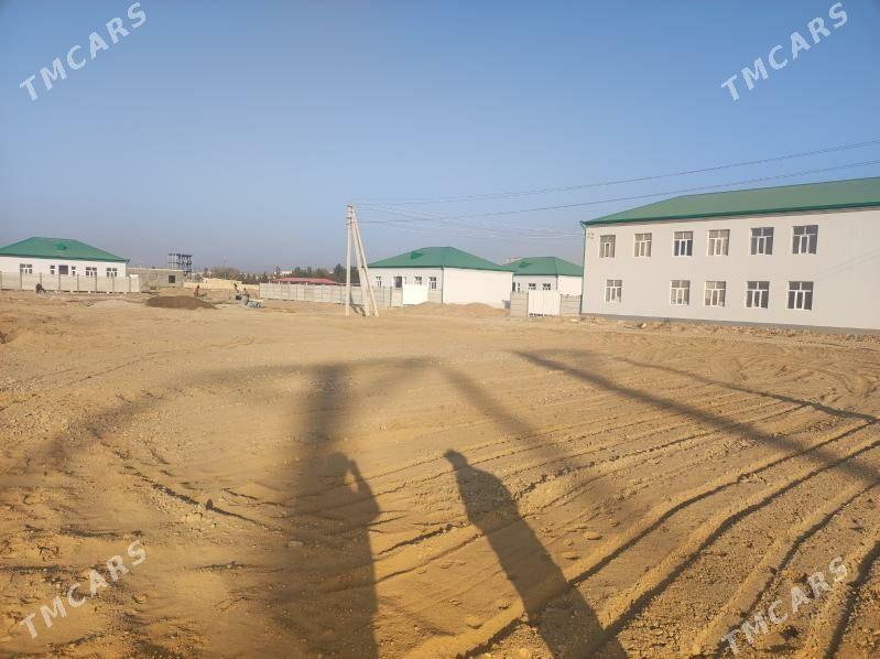 Şatlyk säherine mellek - Şatlyk - img 4