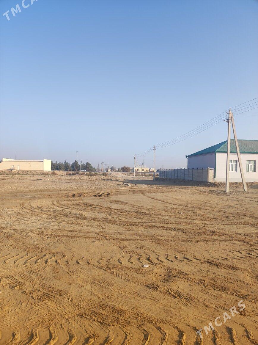 Şatlyk säherine mellek - Şatlyk - img 6