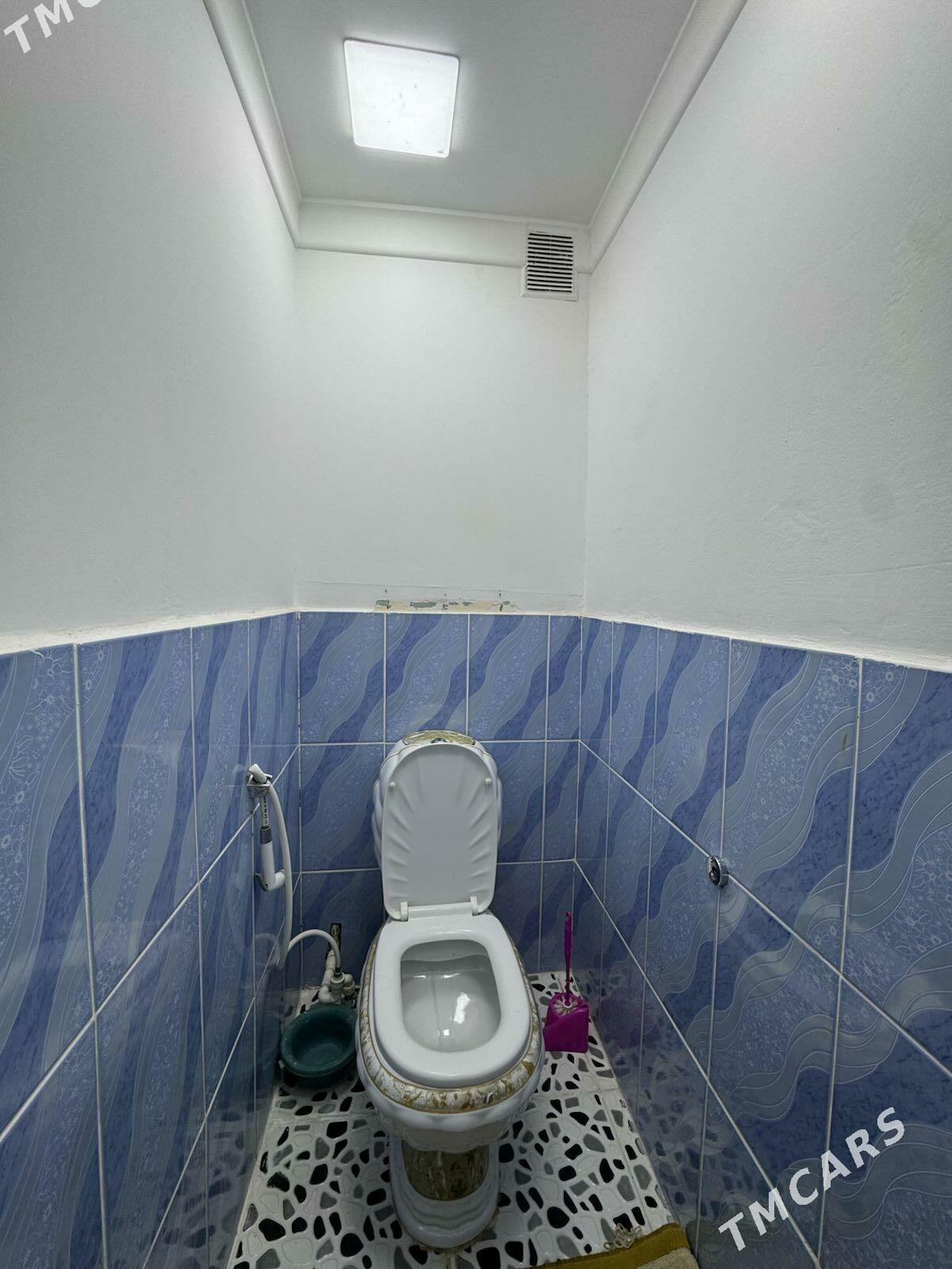 Buzmeyin Gres - Büzmeýin GRES - img 6