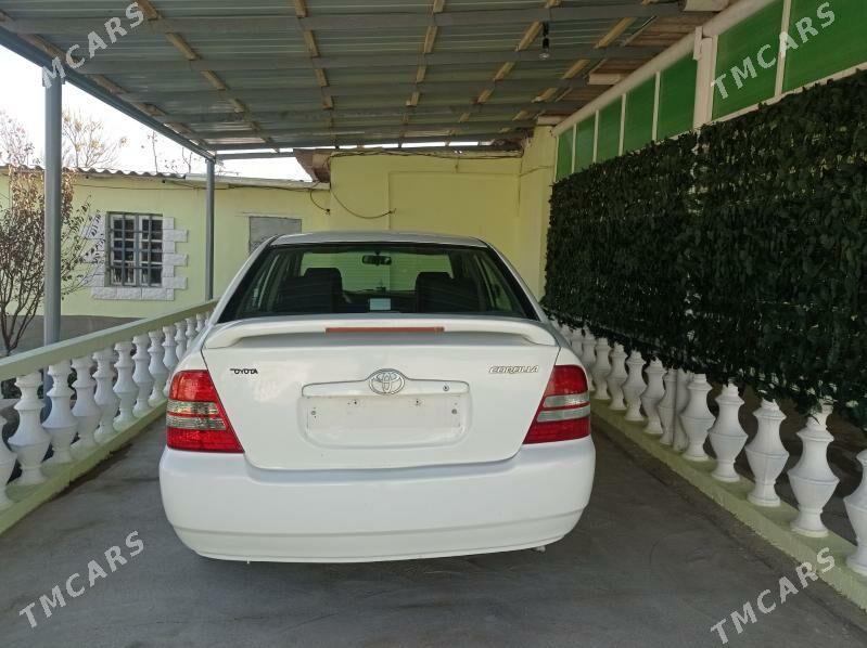 Toyota Corolla 2003 - 95 000 TMT - Ашхабад - img 2