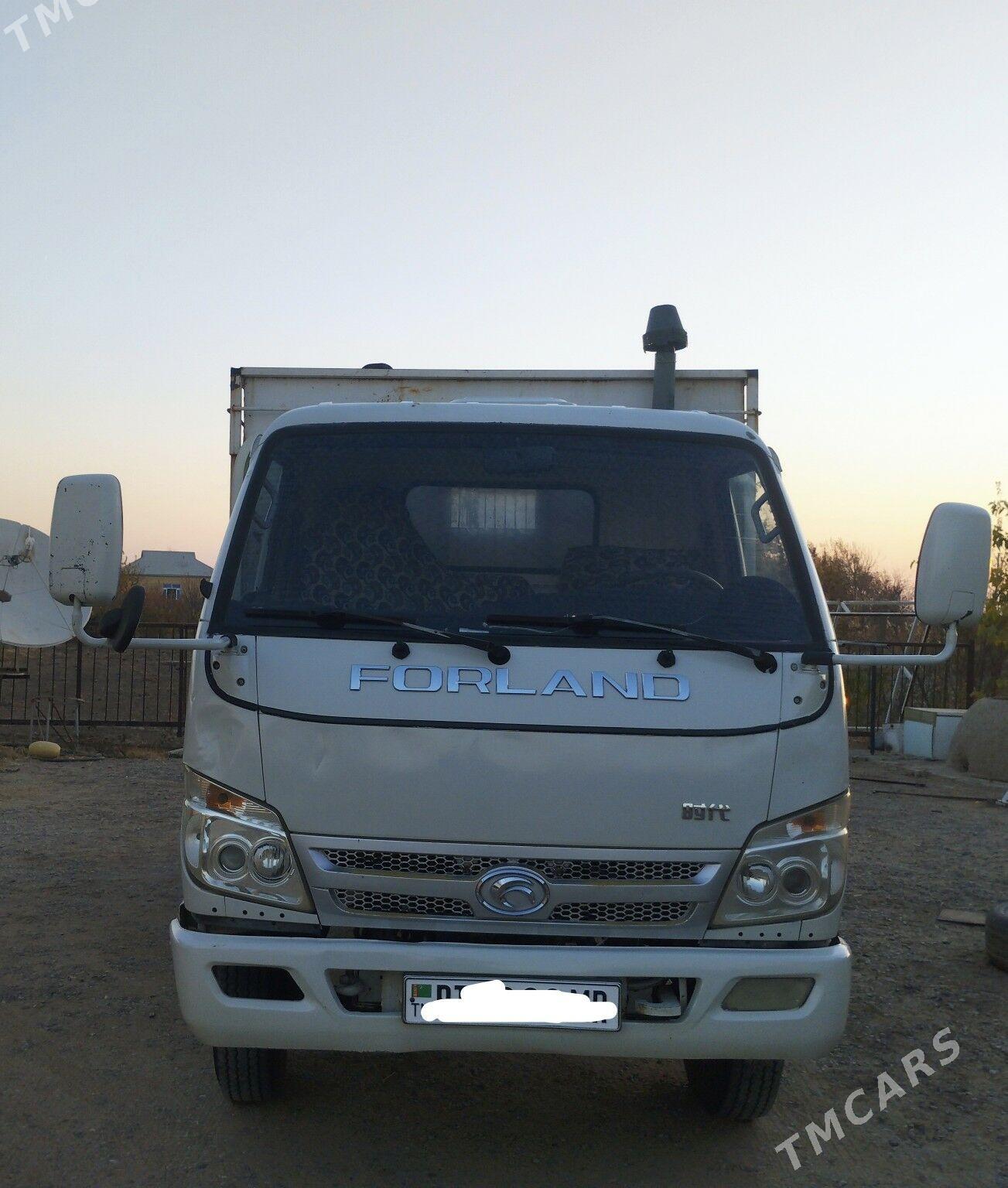 Forland H2 2014 - 170 000 TMT - Мары - img 1