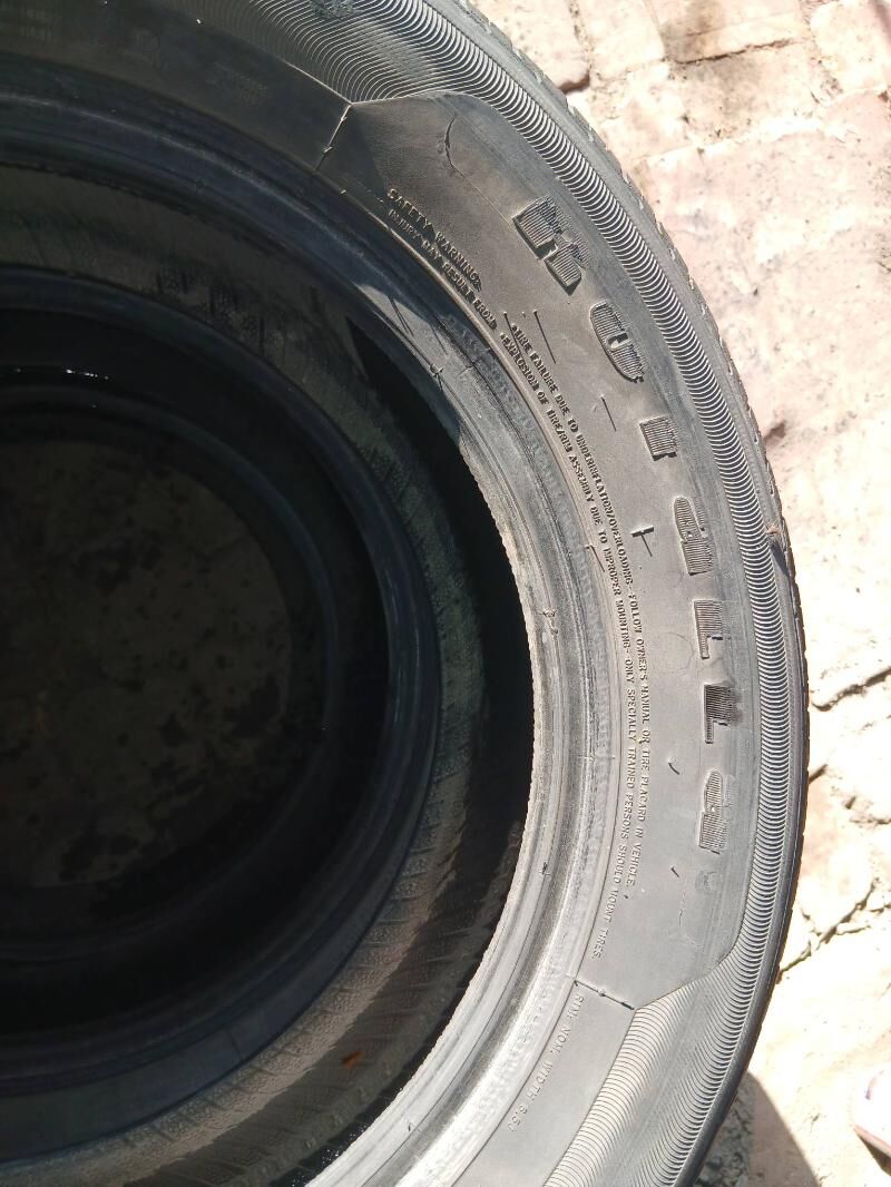 215.60.16 550 TMT - Mary - img 2