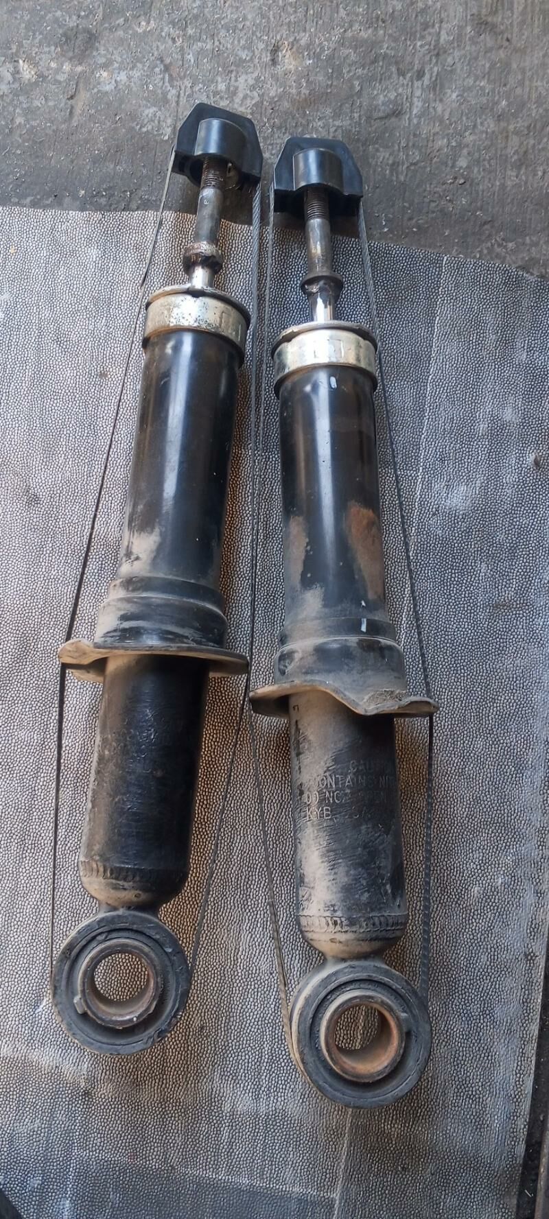 karolla amelsisatyr izi 250 TMT - 30 mkr - img 2