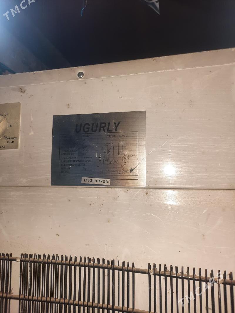 Холодильник holodilnik витрина - Büzmeýin GRES - img 3