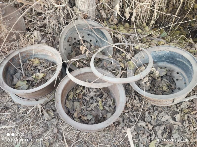 diksa 400 TMT - Çärjew - img 3