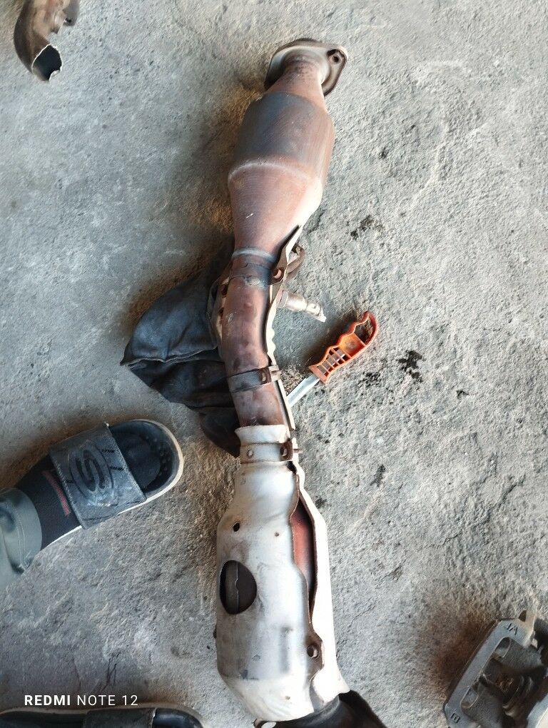 Ary ketek morda bacok 1 800 TMT - Aşgabat - img 1