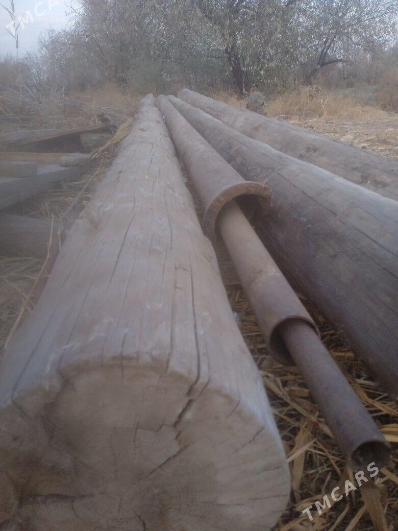 rasiski agac boyi 6metir - Болдумсаз - img 3