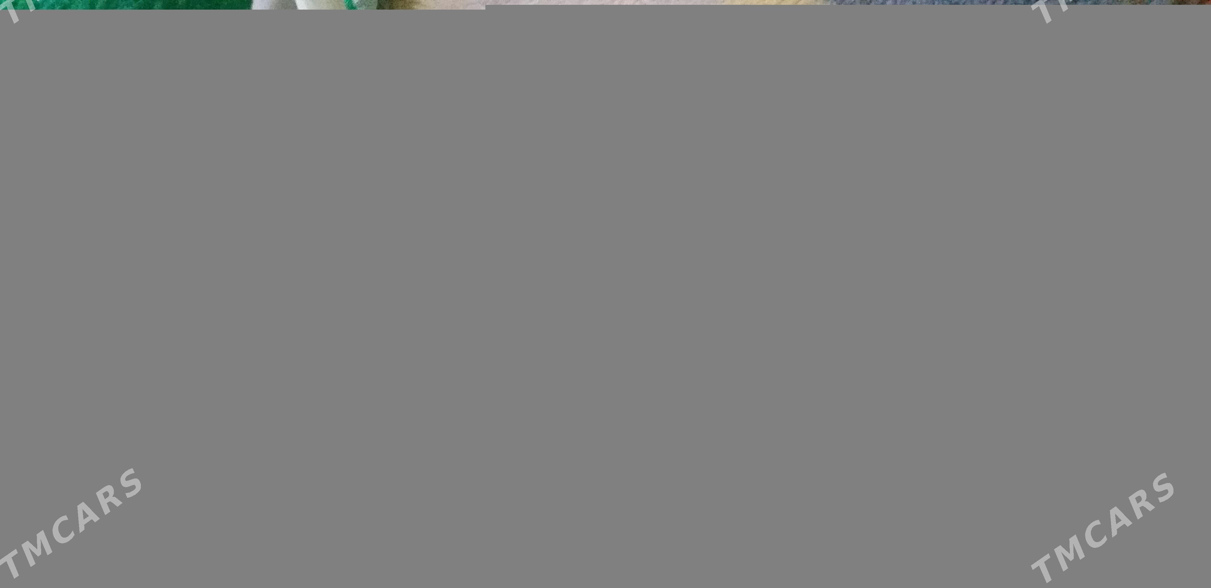 пасуда новая - Багир - img 4