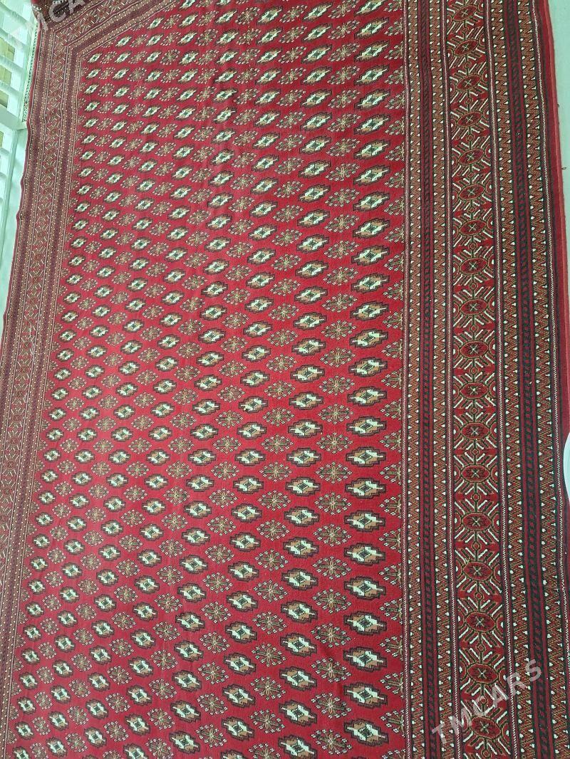 Haly - Дашогуз - img 2