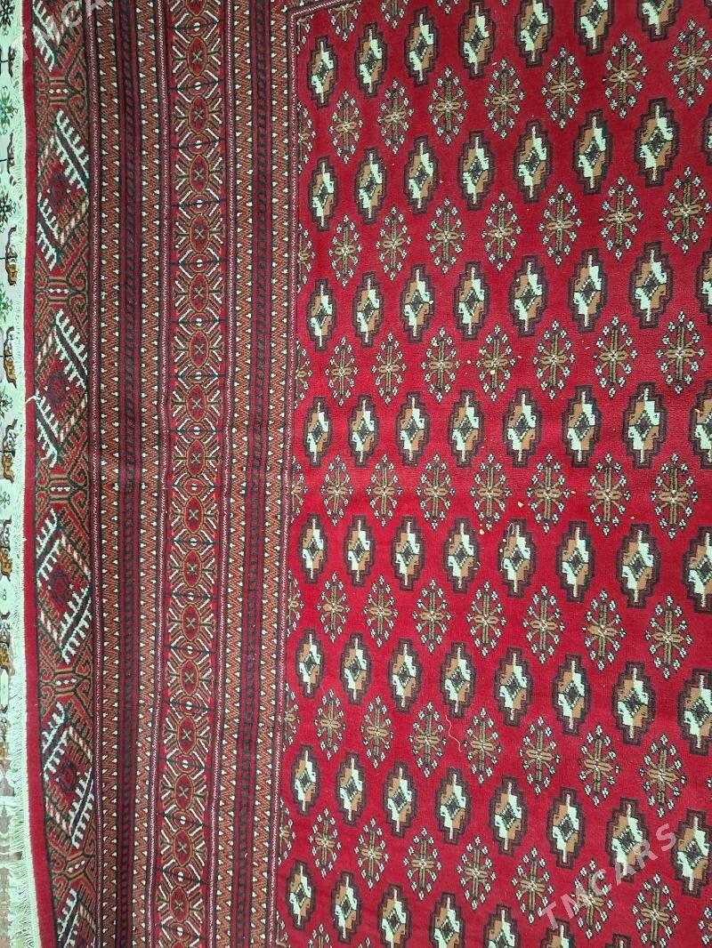 Haly - Дашогуз - img 3