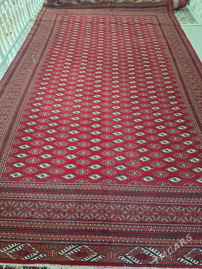 Haly - Дашогуз - img 1